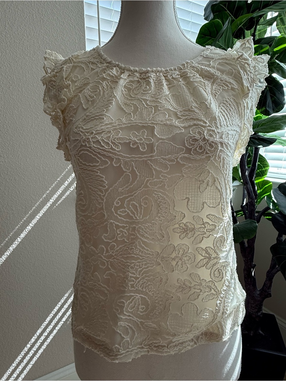EXPRESS Cream Lace Sleeveless Blouse
